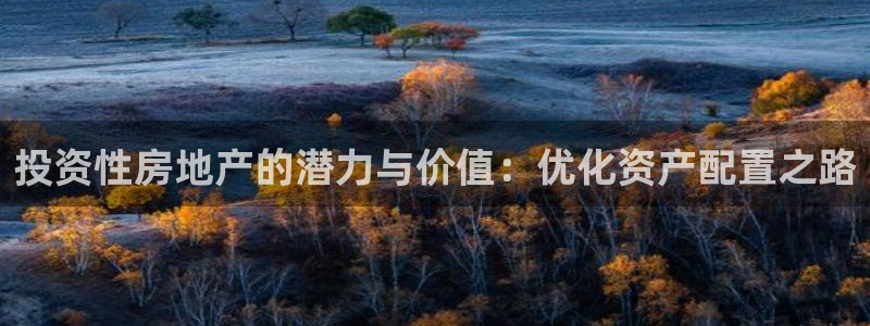 天狮娱乐 a主管98663：投资性房地产的潜力与价值：优化资