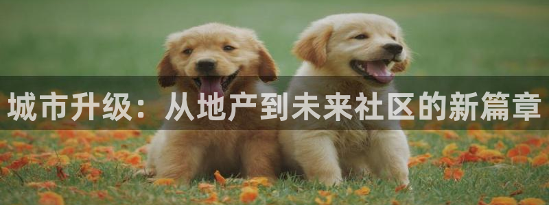 天狮娱乐注册官方：城市升级：从地产到未来社区的新篇章