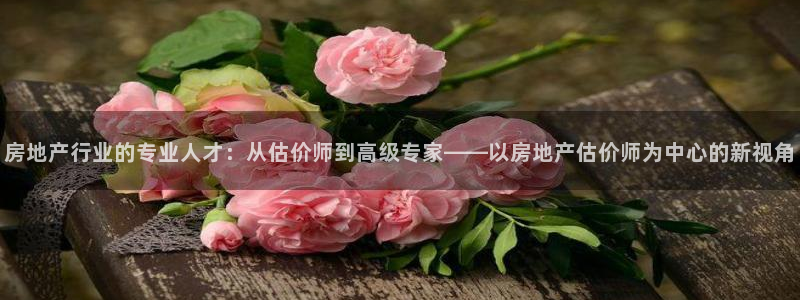 天狮娱乐招商57757：房地产行业的专业人才：从估价师到高级