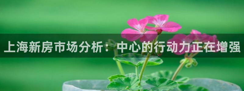 天狮娱乐 a主管67646：上海新房市场分析：中心的行动力正