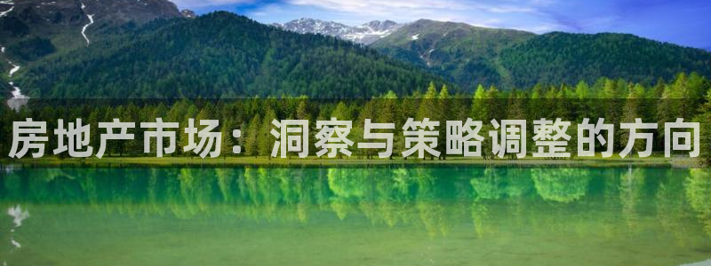 天狮娱乐招商66六26：房地产市场：洞察与策略调整的方向