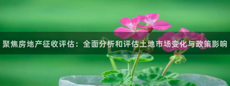 天狮娱乐真的假的：聚焦房地产征收评估：全面分析和评估土地市场