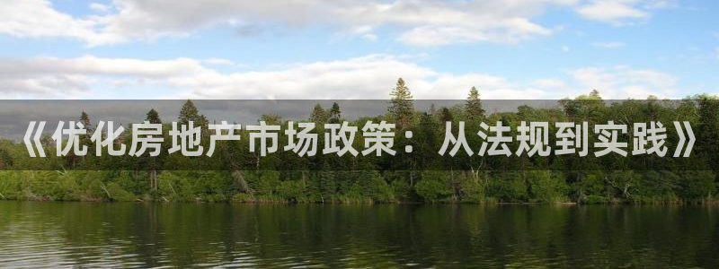天狮娱乐平台登录：《优化房地产市场政策：从法规到实践》