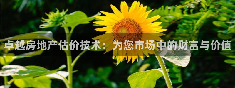 天狮娱乐可靠吗：卓越房地产估价技术：为您市场中的财富与价值